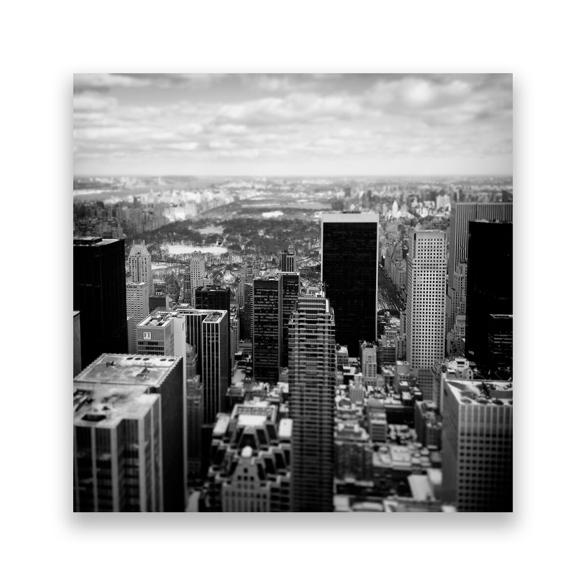 Tablou Canvas - New York, Central Park, Monochrom, Cladiri, 100 x 100 cm