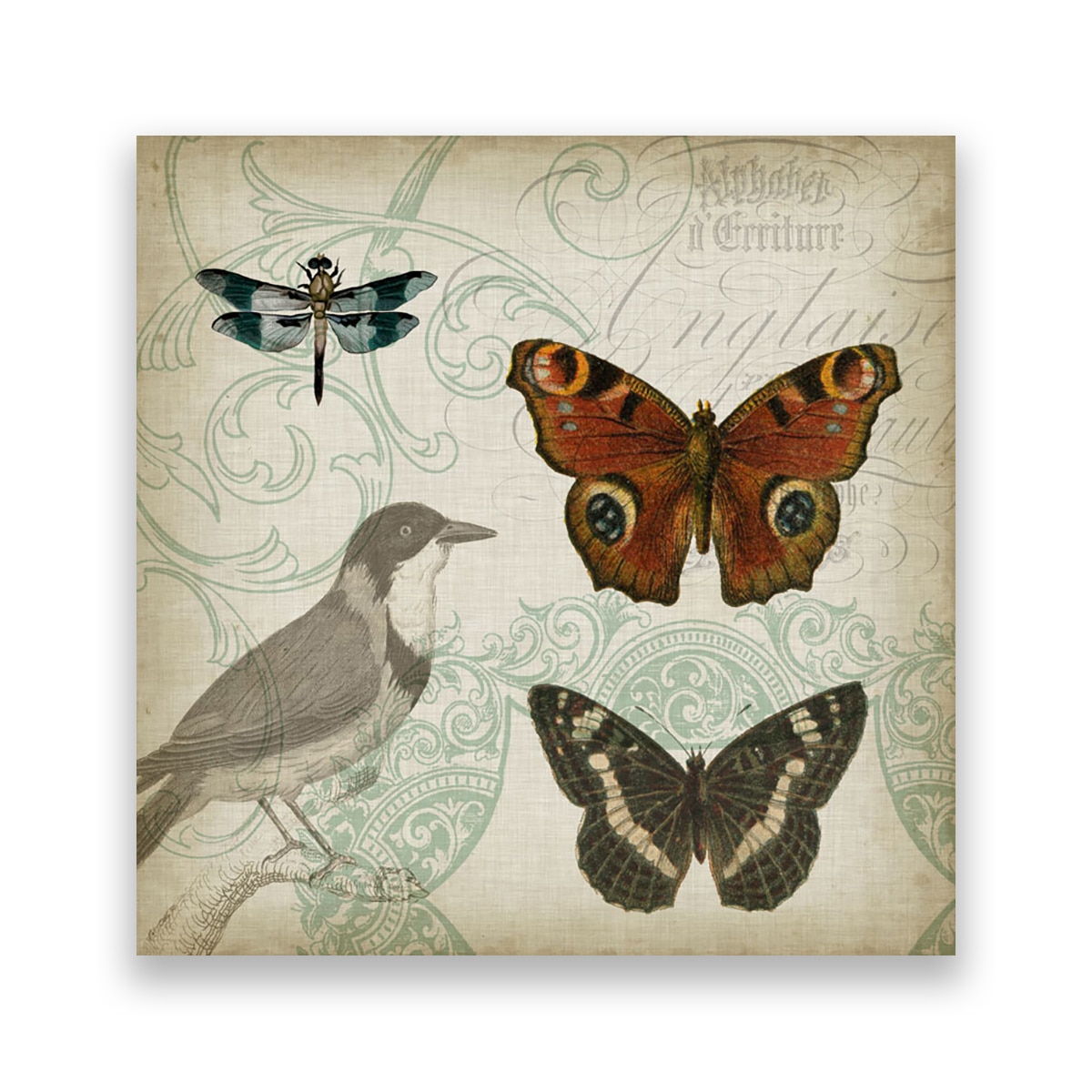 Tablou Canvas - Vintage, Pasari, Fluture, Libelula, 80 x 80 cm