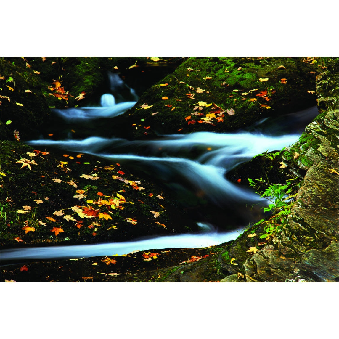 Fototapet toamna, 180 x120 cm