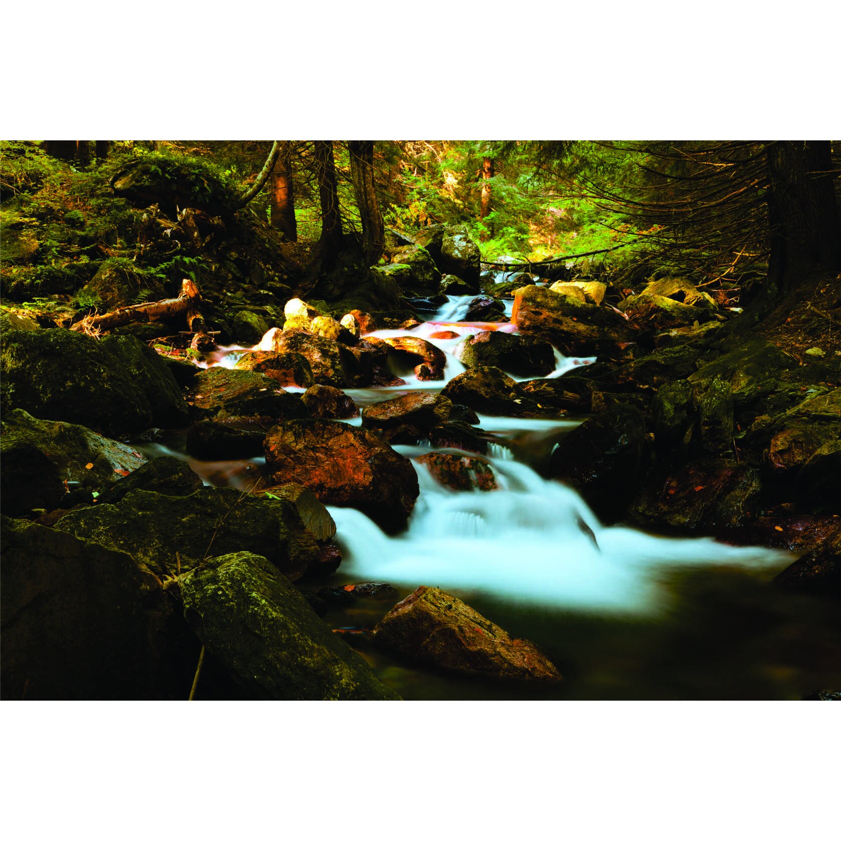 Fototapet Rau in padure, 180x120 cm