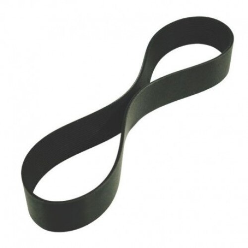 Curea canelata Gates