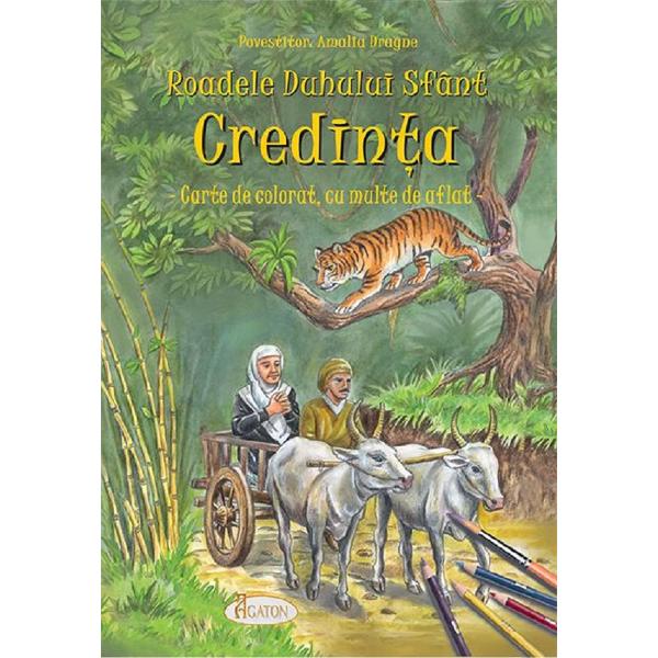 Roadele Duhului Sfant Vol.4: Credinta - Amalia Dragne