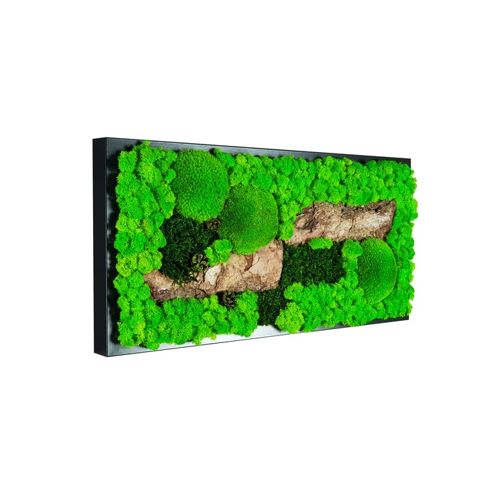 Tablou licheni naturali Jolie Arts, Dimensiune 25 x 50 cm, Decor Scoarta Copac, Rama Neagra