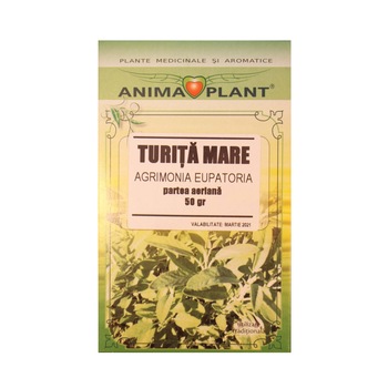 Turita Mare, Agrimonia eupatoria, partea aeriana, planta maruntita, pentru ceai, 50g Turita Mare, Agrimonia eupatoria, partea aeriana, planta maruntita, pentru ceai, 50g