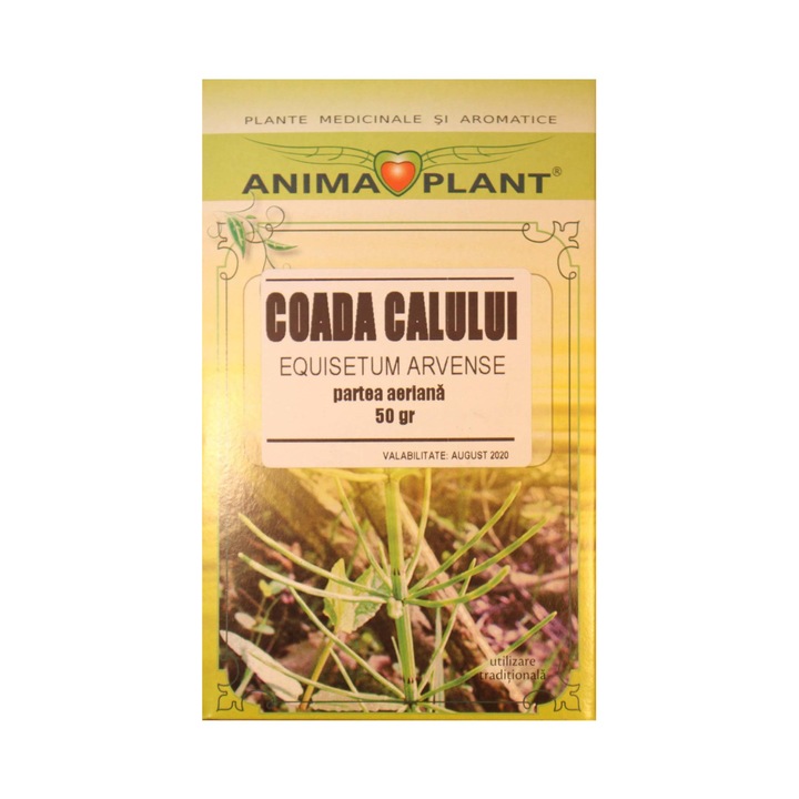 Coada Calului ,Equisetum arvense, partea aeriana, planta maruntita, pentru ceai, 50g