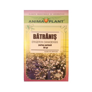 Batranis, Erigeron canadensis, parte aeriana, planta maruntita,pentru ceai, 50g Batranis, Erigeron canadensis, parte aeriana, planta maruntita,pentru ceai, 50g
