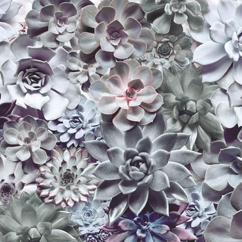 Fototapet Shades floral Komar 8-962 Albastru/Gri 368 X 254cm Fototapet Shades floral Komar 8-962 Albastru/Gri 368 X 254cm