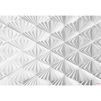 Fototapet Delta Cu efect 3D Komar 8-204 Alb/Gri 368 X 254cm Fototapet Delta Cu efect 3D Komar 8-204 Alb/Gri 368 X 254cm