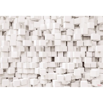 Fototapet Gravity Cu efect 3D Komar 8-207 Alb/Gri 368 X 254cm Fototapet Gravity Cu efect 3D Komar 8-207 Alb/Gri 368 X 254cm