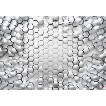 Fototapet Titanium Cu efect 3D Komar 8-206 Argintiu/Gri 368 X 254cm Fototapet Titanium Cu efect 3D Komar 8-206 Argintiu/Gri 368 X 254cm