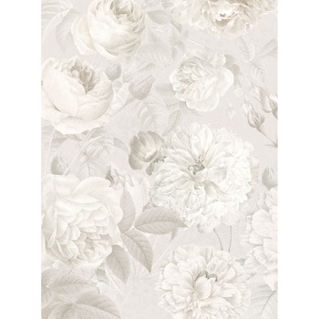 Fototapet floral Komar XXL2-066 Gri/Rozuliu 184 X 254cm Fototapet floral Komar XXL2-066 Gri/Rozuliu 184 X 254cm