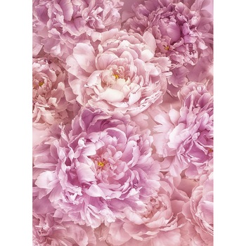 Fototapet floral Soave Komar XXL2-009 Mov/Roz 184 X 248cm Fototapet floral Soave Komar XXL2-009 Mov/Roz 184 X 248cm