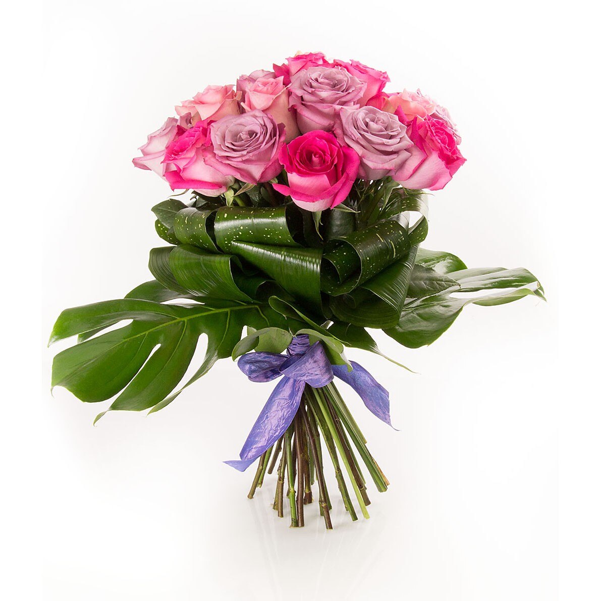 Trandafiri mov si roz