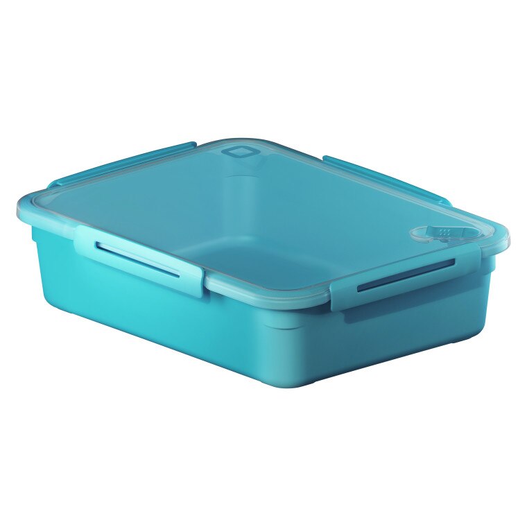 Cutie Alimente 3.1 L Termorezistent Aqua Memory, Rotho