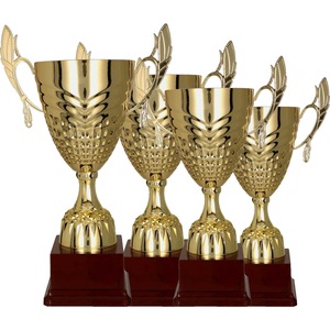 Cupe, trofee si medalii