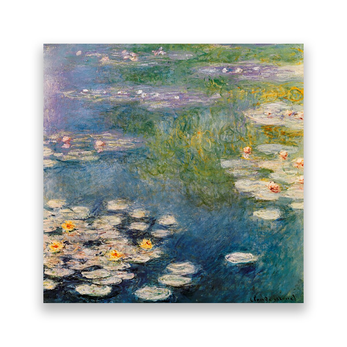 Tablou Canvas - Flori, Nufar, Lac, 100 x 100 cm