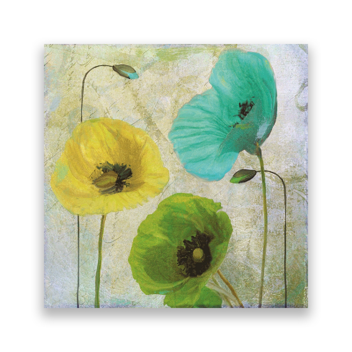 Tablou Canvas - Flori, Mac, Turcoaza, 100 x 100 cm