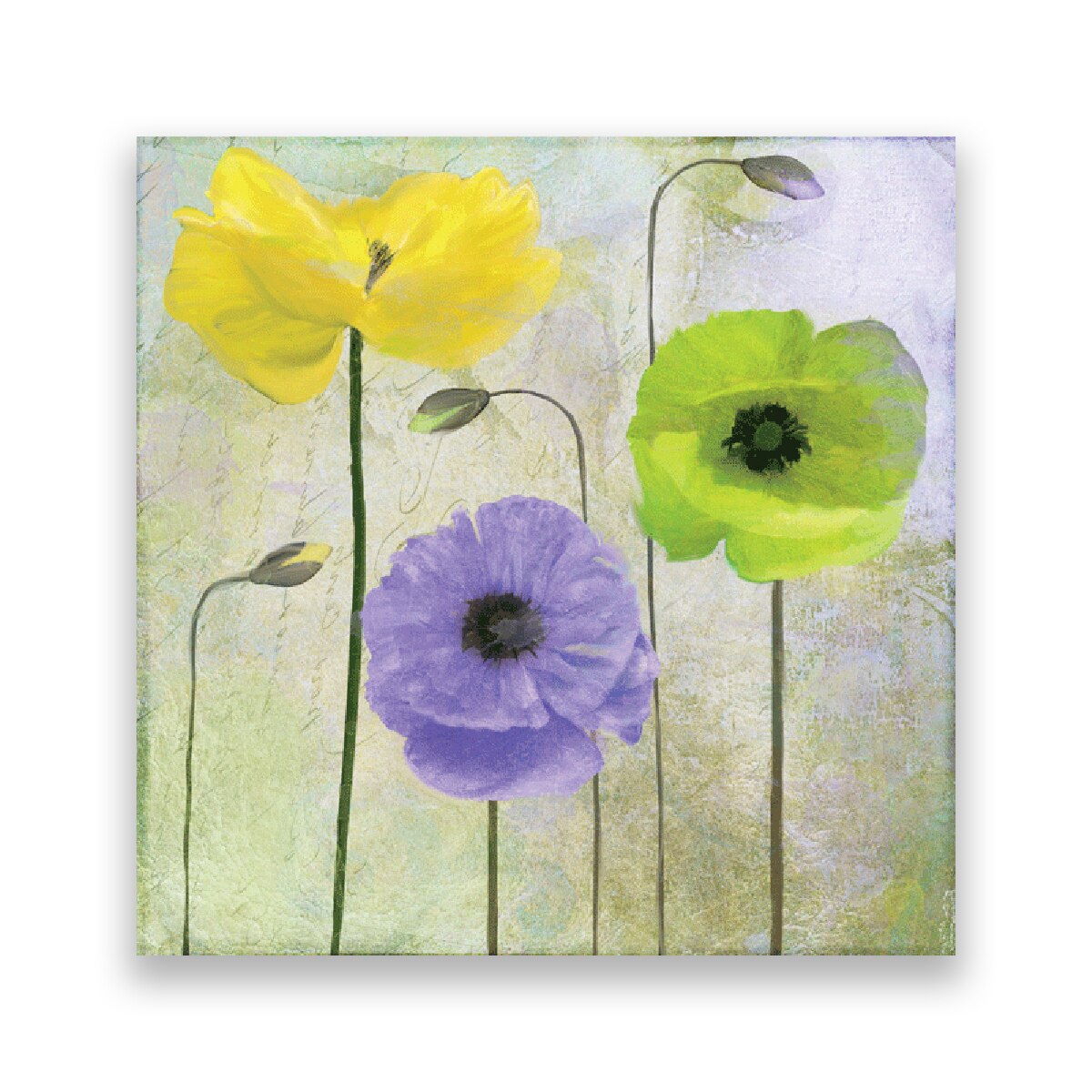 Tablou Canvas - Flori, Mac, Turcoaza, Mov, 100 x 100 cm