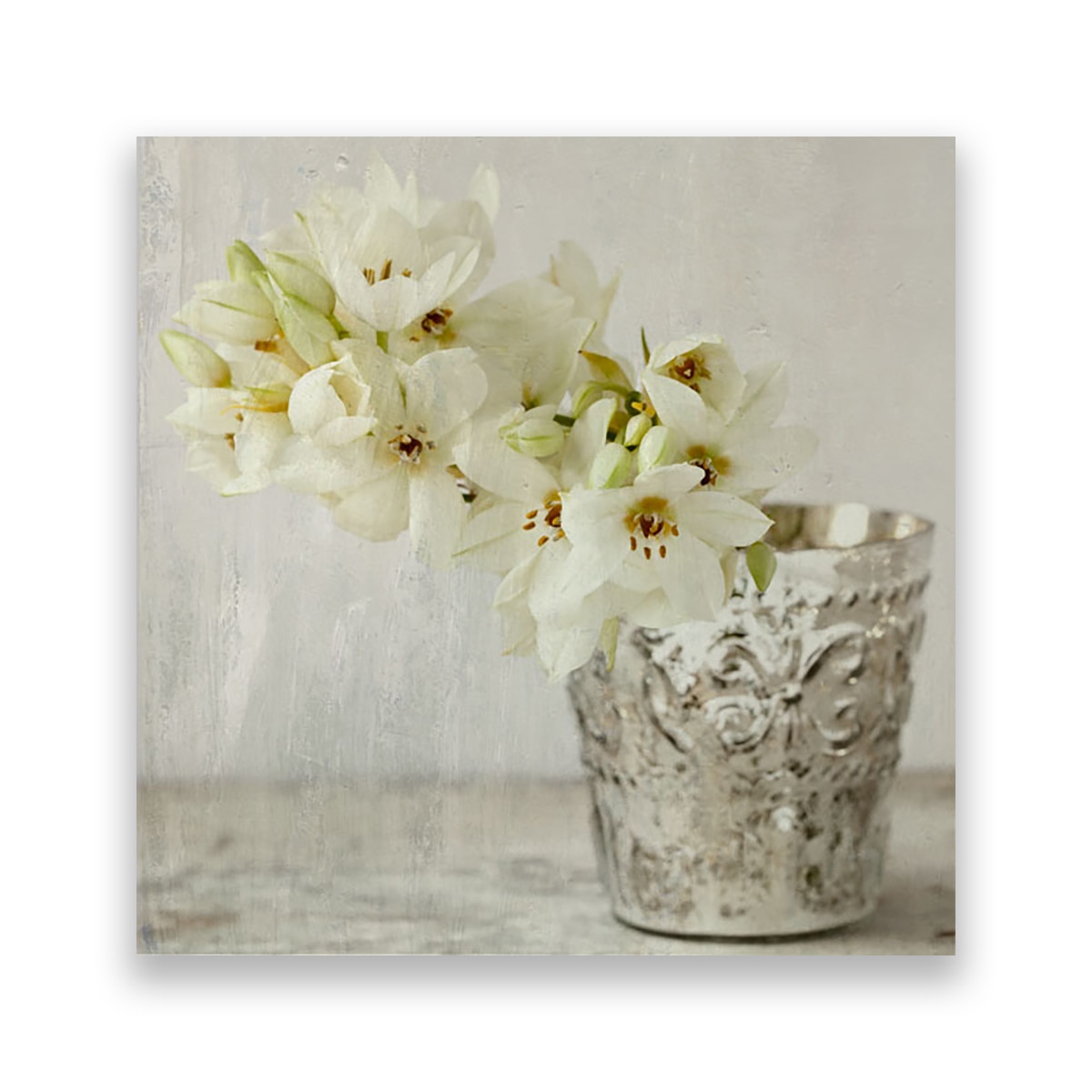 Tablou Canvas - Floral, Narcis, Alb, Vasa, 100 x 100 cm