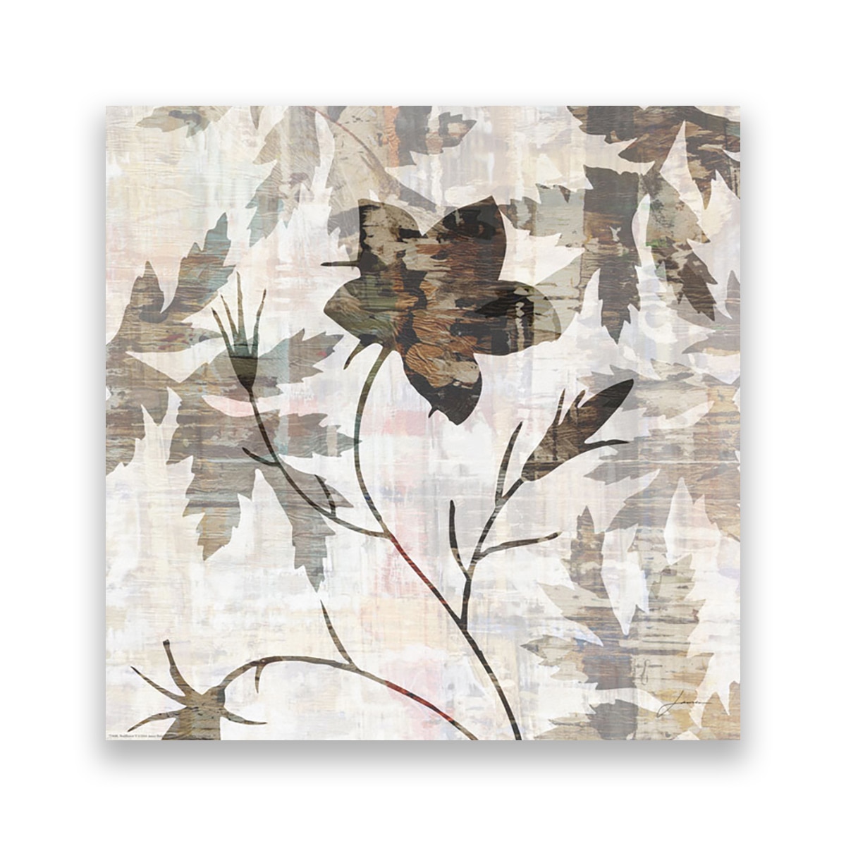 Tablou Canvas - Floral, Frunze, Umbre, 60 x 60 cm