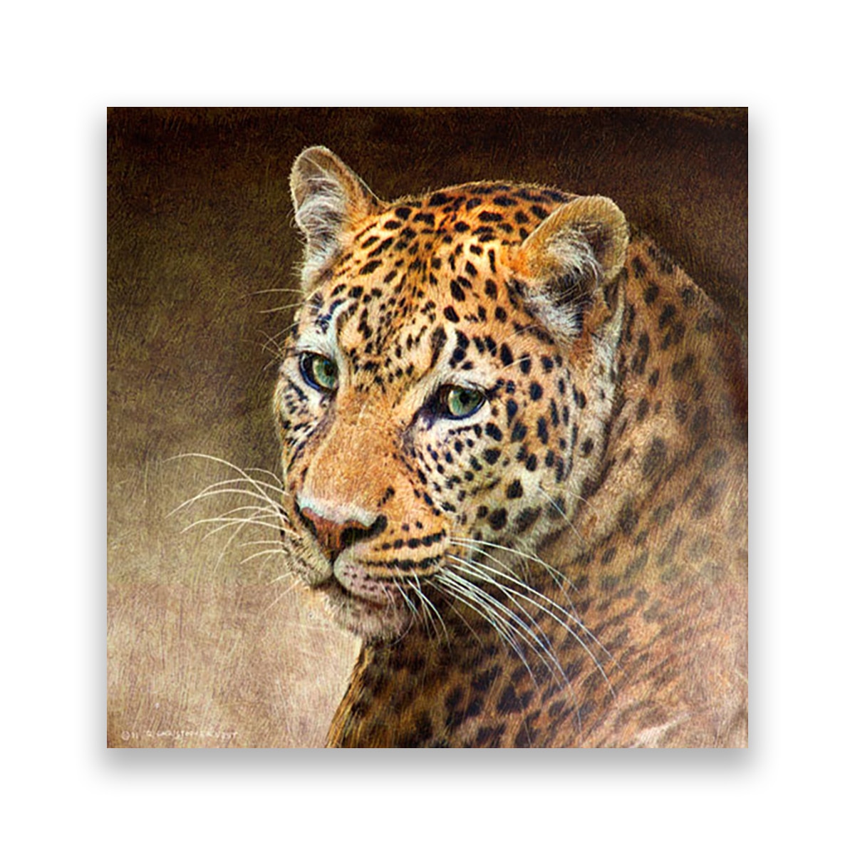 Tablou Canvas - Leopard, Animale, 100 x 100 cm