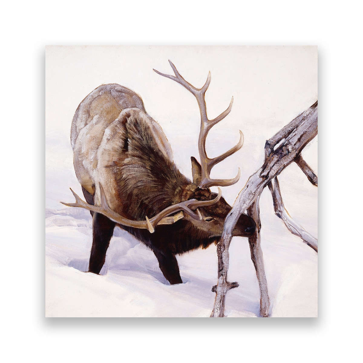 Tablou Canvas - Cerb, Animale, Creanga, Zapada, 60 x 60 cm