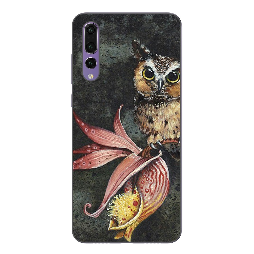 Husa Huawei P20 Pro Silicon Gel Tpu Model Owl Painted Multicolor