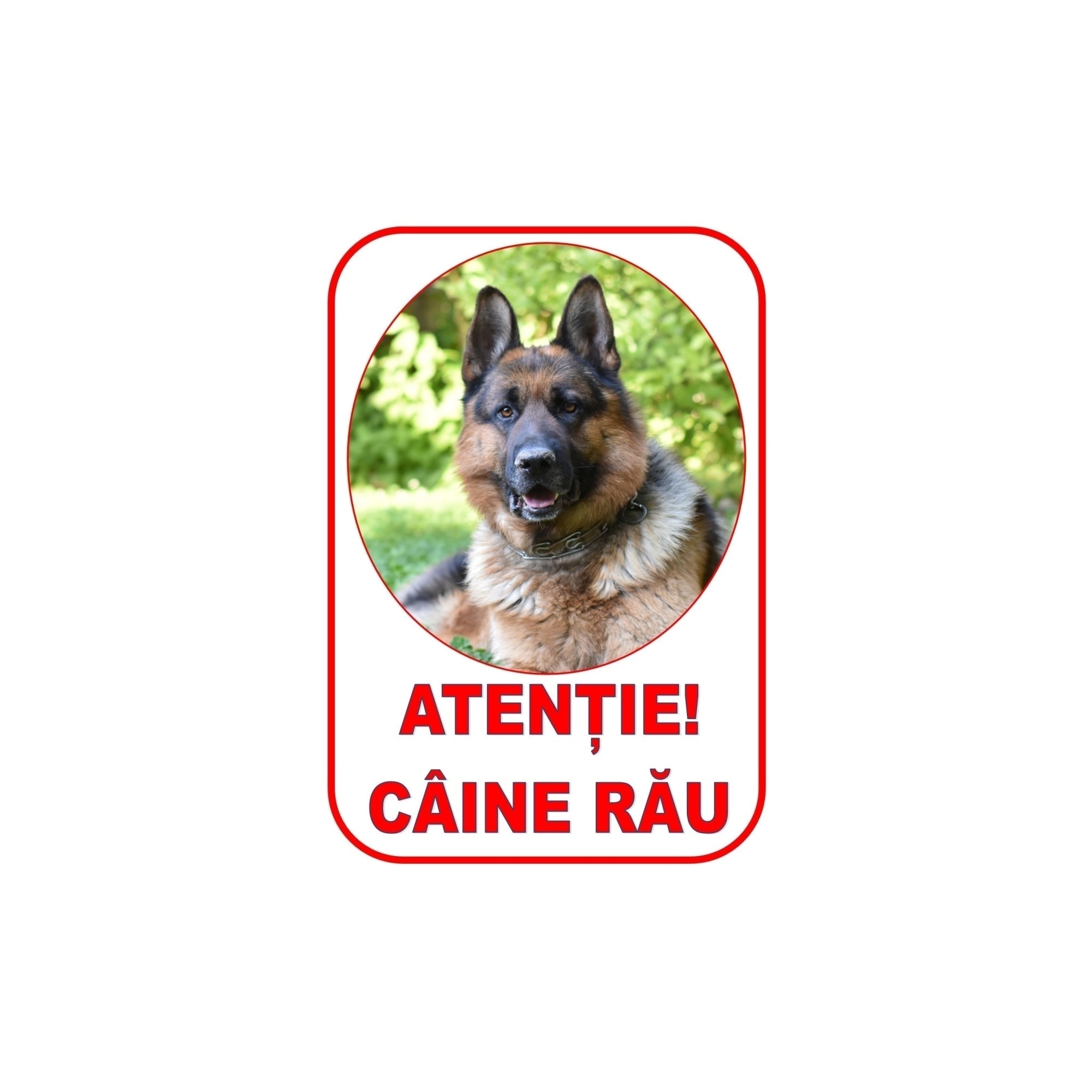 Indicator PVC A4 -Atentie caine rau 2