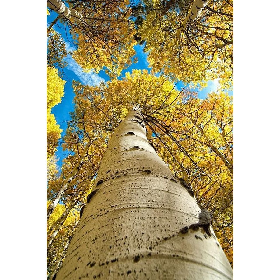 Tablou Startonight pe sticla acrilica La Inaltime, luminos in intuneric, 60 cm x 90 cm