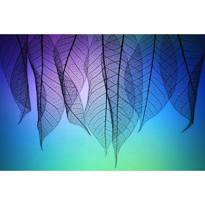 Tablou Startonight pe sticla acrilica Siluete din Natura, luminos in intuneric, 60 cm x 90 cm