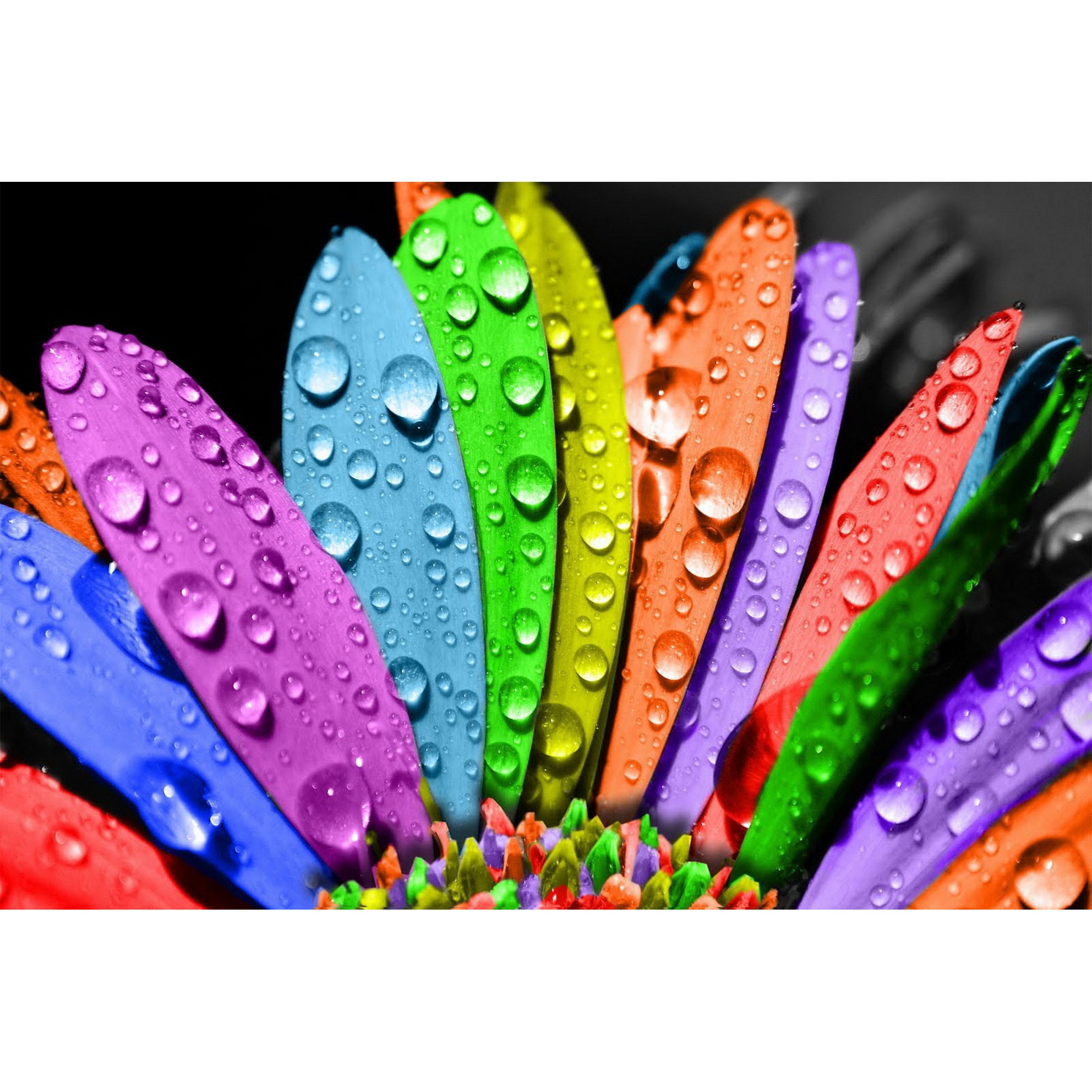 Tablou Startonight pe sticla acrilica Petale Multicolore, luminos in intuneric, 60 cm x 90 cm
