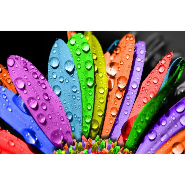 Tablou Startonight pe sticla acrilica Petale Multicolore, luminos in intuneric, 60 cm x 90 cm