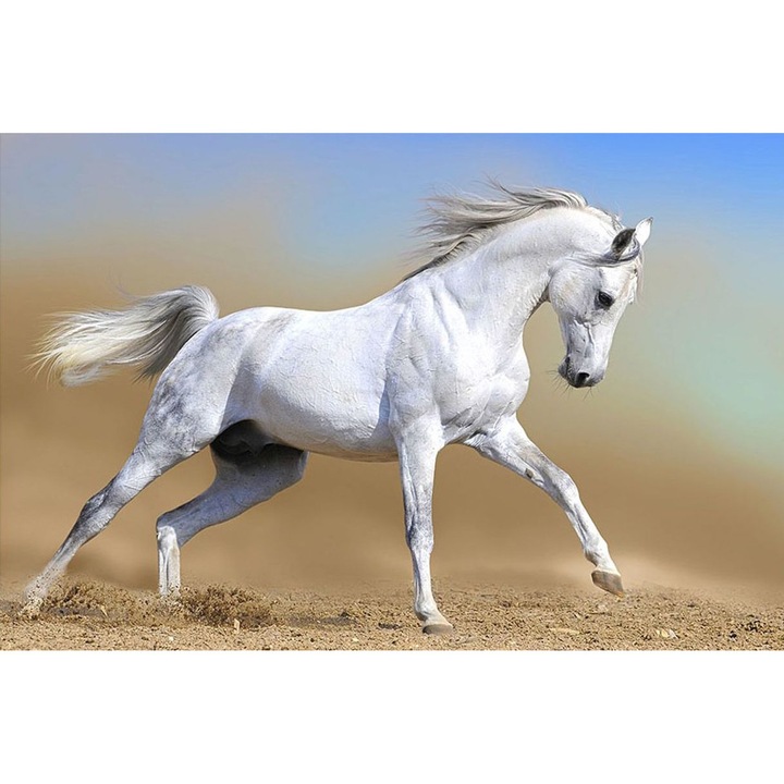 Tablou Startonight pe sticla acrilica Cal Alb, luminos in intuneric, 60 cm x 90 cm