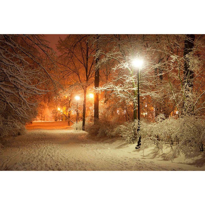 Картина Startonight върху акрилно стъкло, Winter in the Park, ярка в тъмното, 90 см х 60 см