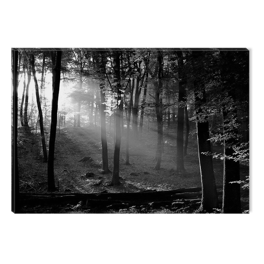 Tablou Startonight pe sticla acrilica Padure Alb-Negru, luminos in intuneric, 90 cm x 60 cm