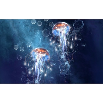 Tablou canvas Meduze 2 (75 x 50 cm) Tablou canvas Meduze 2 (75 x 50 cm)
