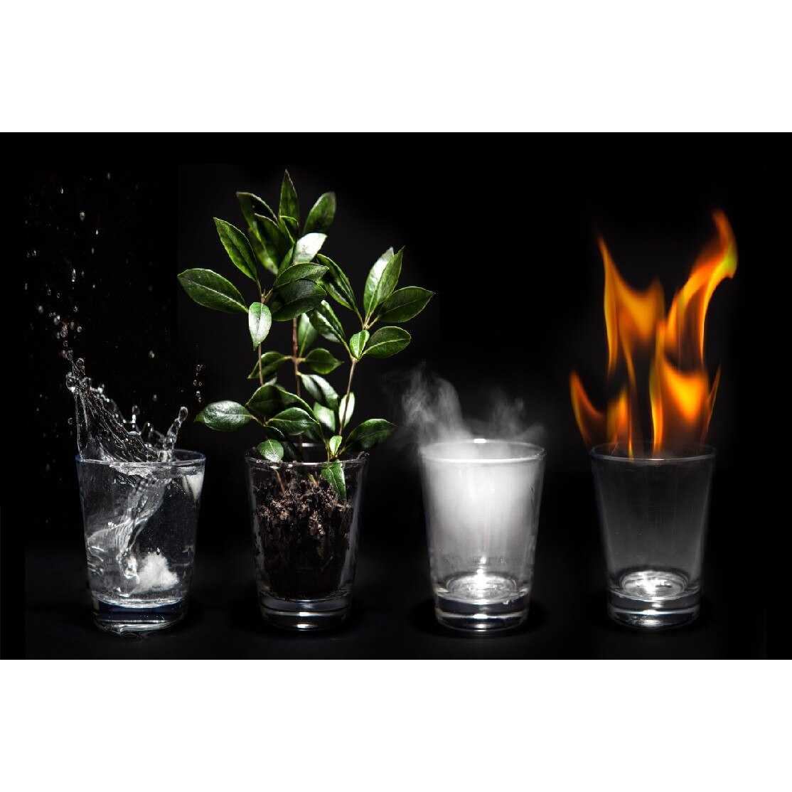 Tablou canvas Elementele pamantului 4 (45 x 30 cm)