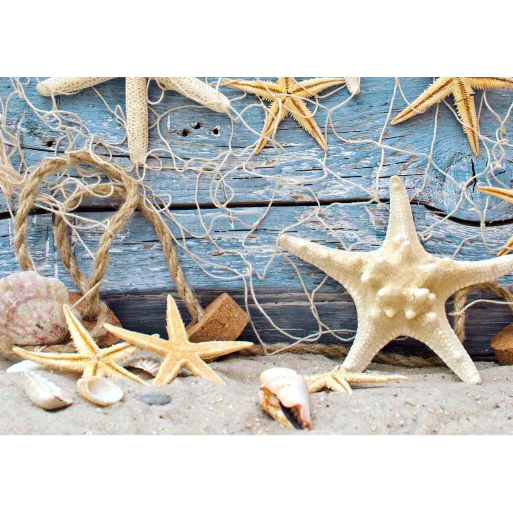 Tablou canvas Plasa cu stele 4 (75 x 50 cm)