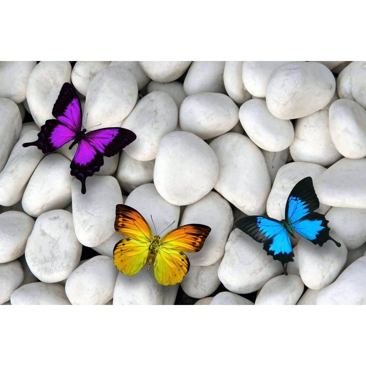 Tablou canvas Fluturi multicolori peste pietre albe (90 x 60 cm)