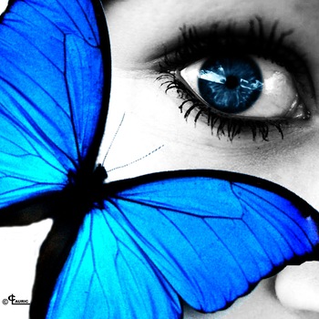 Tablou Startonight pe sticla acrilica Albastru intens, luminos in intuneric, 60 cm x 60 cm Tablou Startonight pe sticla acrilica Albastru intens, luminos in intuneric, 60 cm x 60 cm