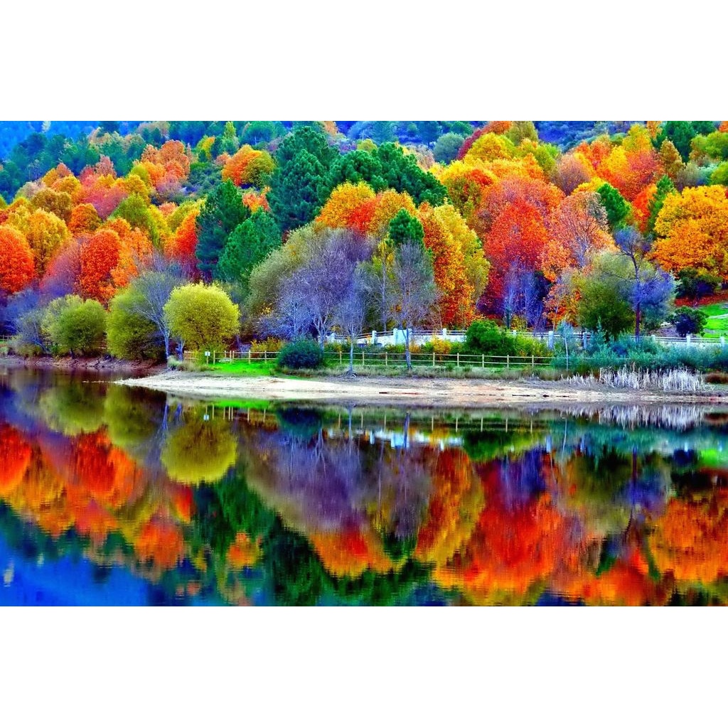 Tablou Startonight pe sticla acrilica Padure Multicolora, luminos in intuneric, 90 cm x 60 cm