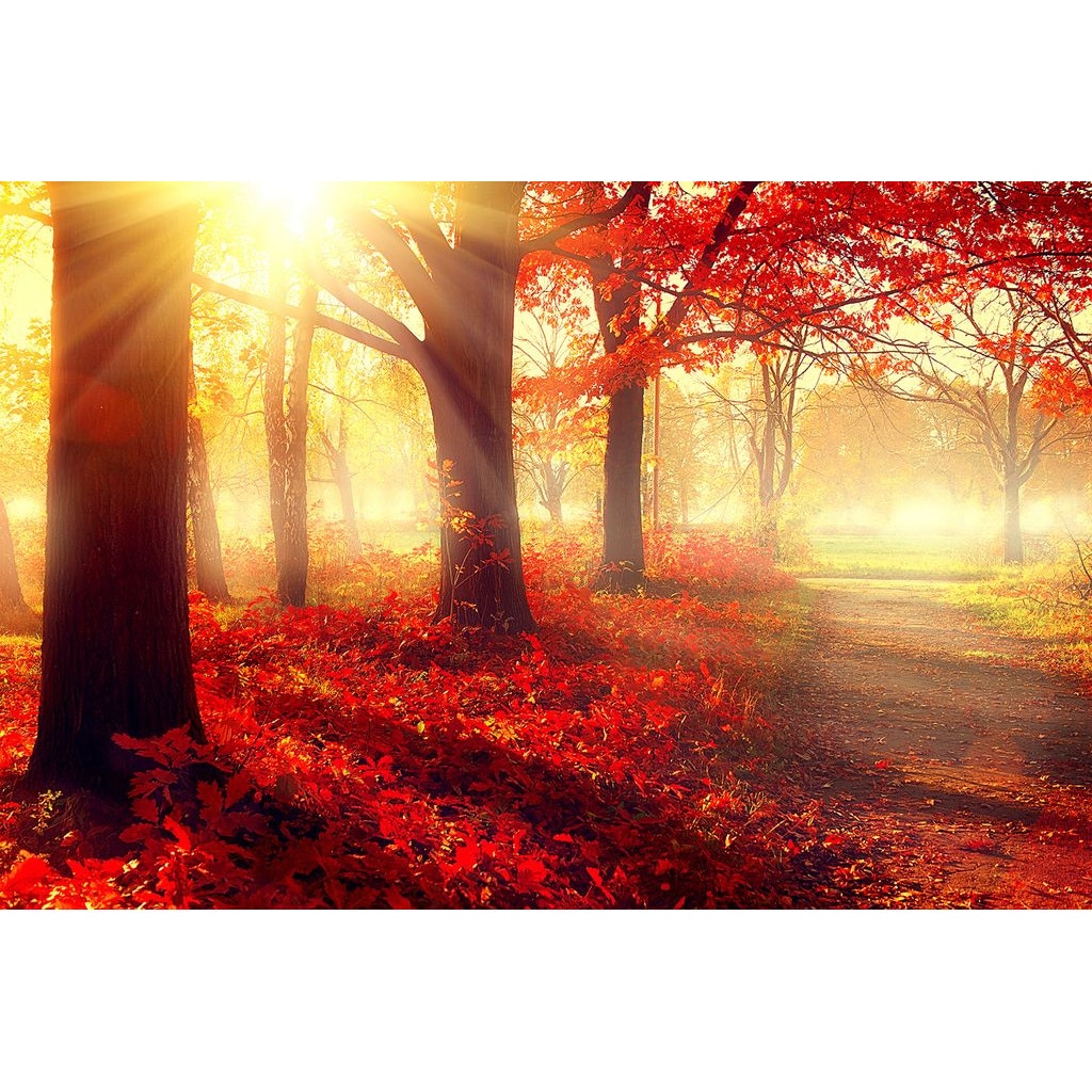 Tablou Startonight pe sticla acrilica Padurea Rosie, luminos in intuneric, 90 cm x 60 cm