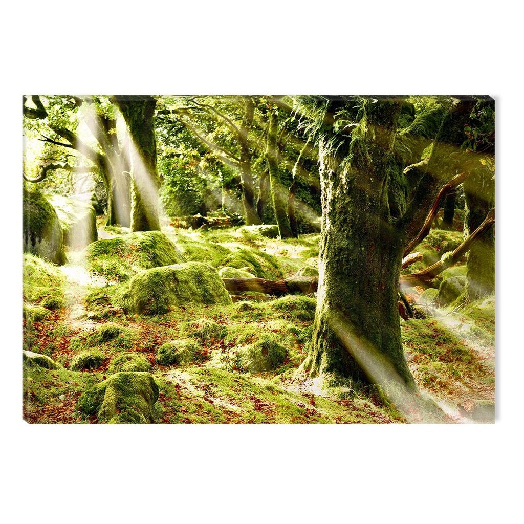 Tablou Startonight pe sticla acrilica Raze de Soare, luminos in intuneric, 90 cm x 60 cm