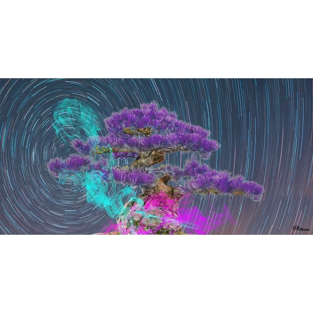 Tablou Startonight pe sticla acrilica Bonsai Violet, luminos in intuneric, 80 cm x 40 cm