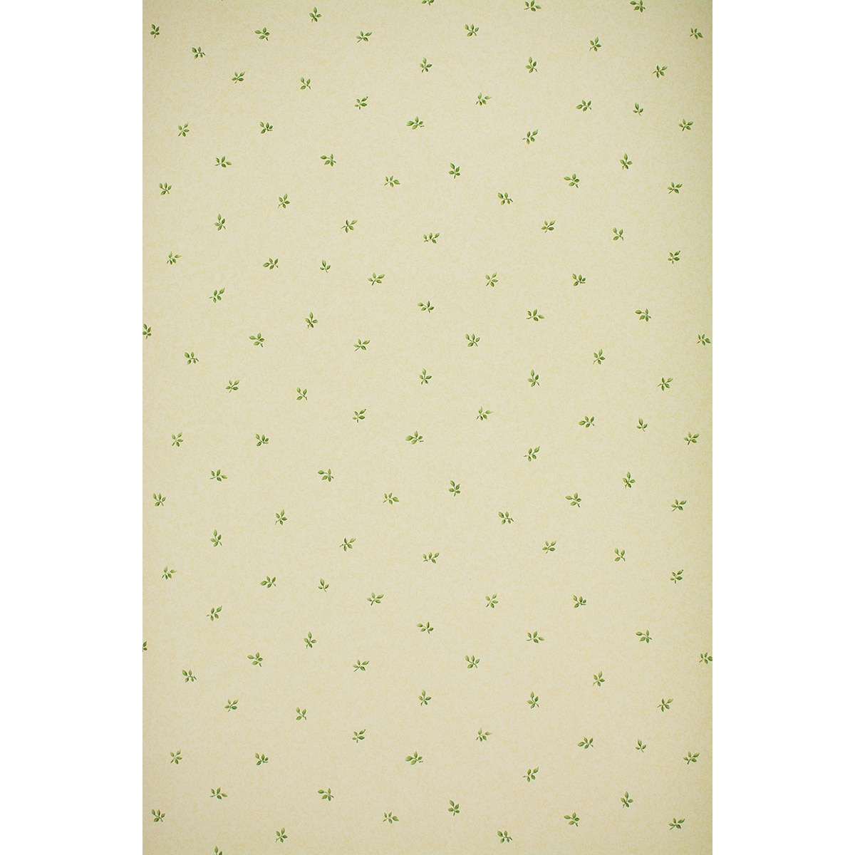 Tapet floral Vinil Compact Gardena 54903 Verde/Crem 0.53 X 10m = 5mp/Rola