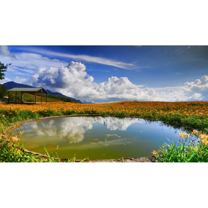 Fototapet autoadeziv PP 240x180 cm Peisaj 80