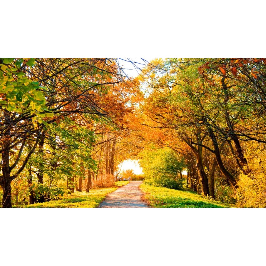 Fototapet autoadeziv PVC 120x180 cm Peisaj 132