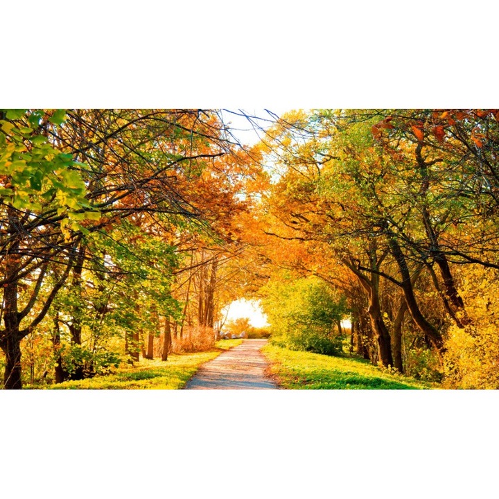 Fototapet autoadeziv PP 120x180 cm Peisaj 132