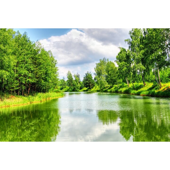 Fototapet autoadeziv PVC 200x300 cm Peisaj 65