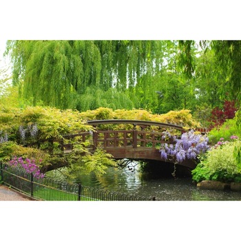 Fototapet autoadeziv PVC 160x240 cm Peisaj 111 Fototapet autoadeziv PVC 160x240 cm Peisaj 111